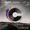 Claus Feldmann - Gobi Sun